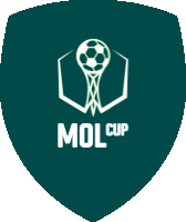 FK Mohelnice-Moravičany