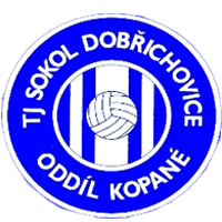 TJ Sokol Dobřichovice